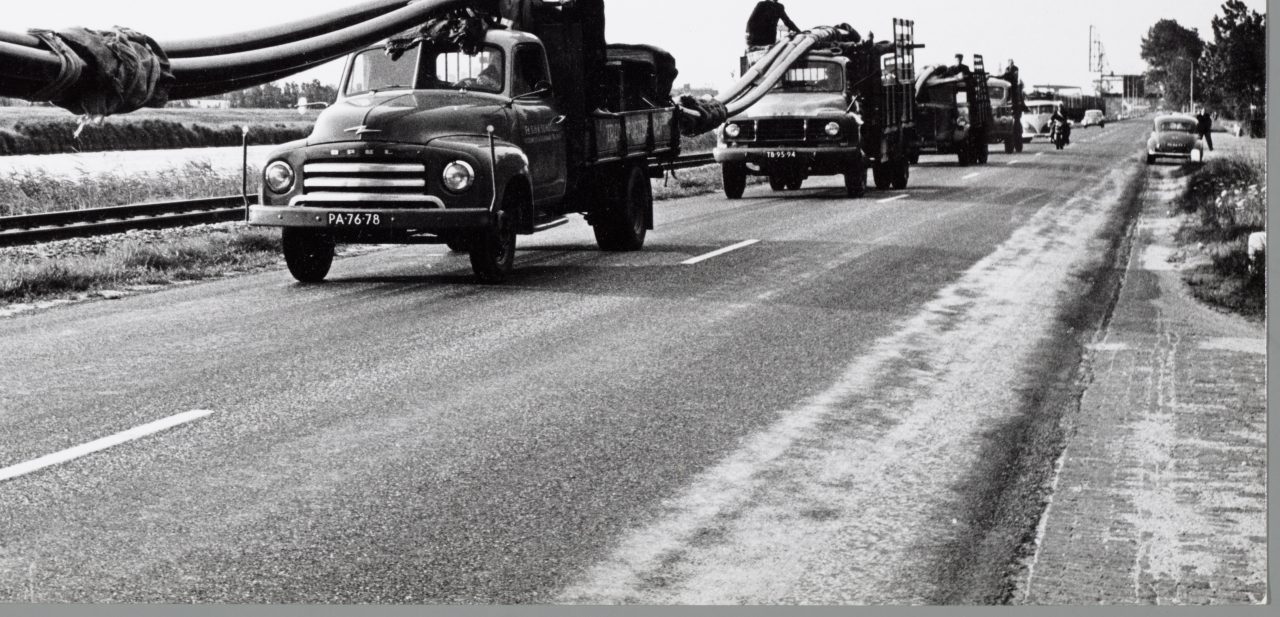 EKS001000021, 22-04-2005, 11:22,  8C, 4768x6206 (673+784), 100%, NAA, 1/120 s, R32.9, G6.9, B1.3